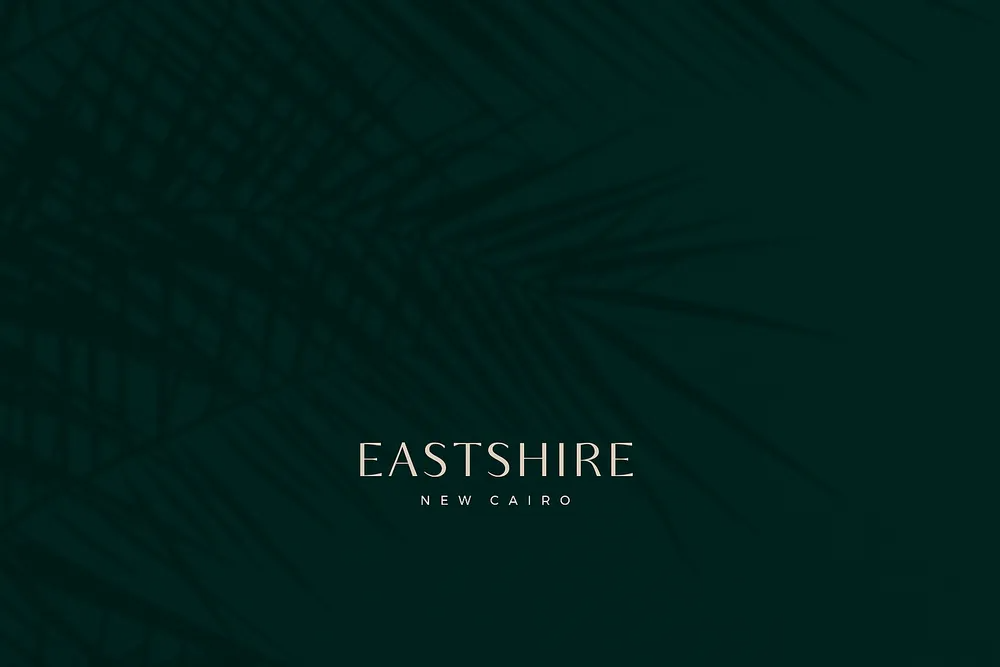 Al Qamzi Real Estate Development